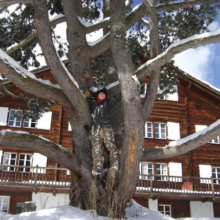 샬레 Chalet Zuckmayer